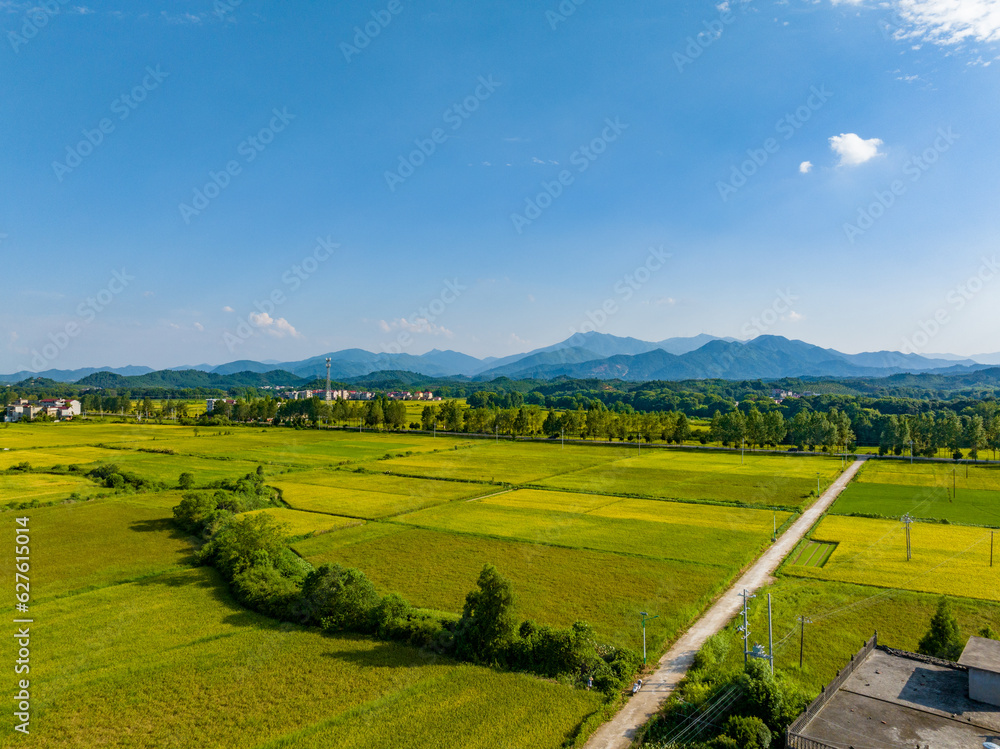 Overlook of Chinese rural houses and river scenery,Aerial photography of pastoral scenery in Jiangxi