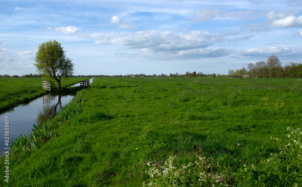 Landscape green meadow and canal with clear water