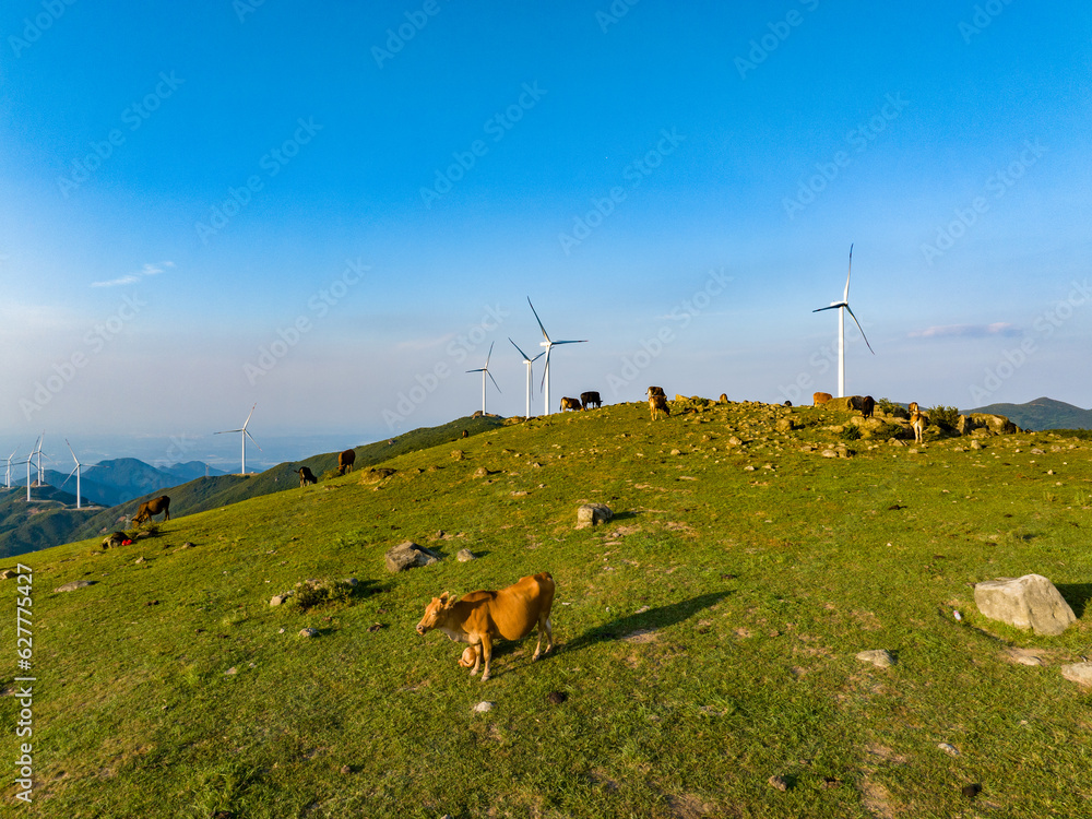 Wind farm on the mountain, blue sky and white clouds