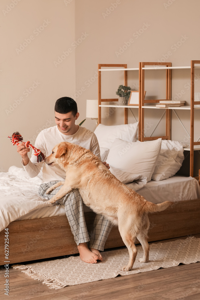 Young man playing with cute Labrador dog and toy in bedroom