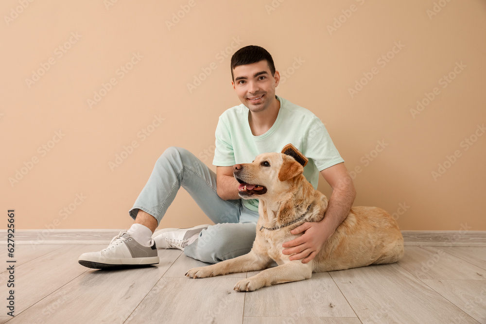 Young man brushing cute Labrador dog sitting near beige wall