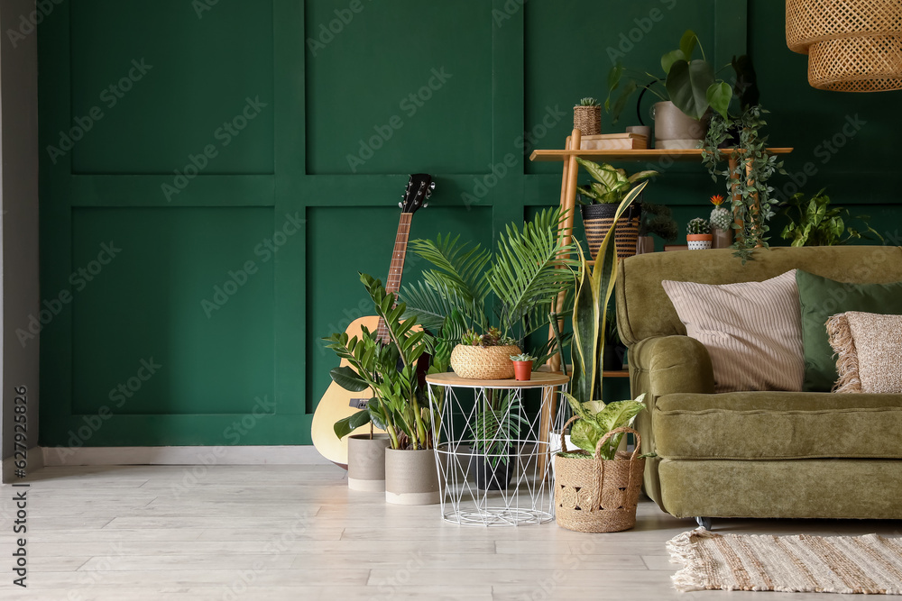 Interior of living room with green sofa and houseplants