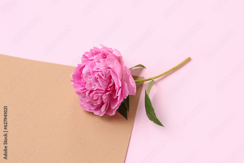 Fresh peony flower on color background