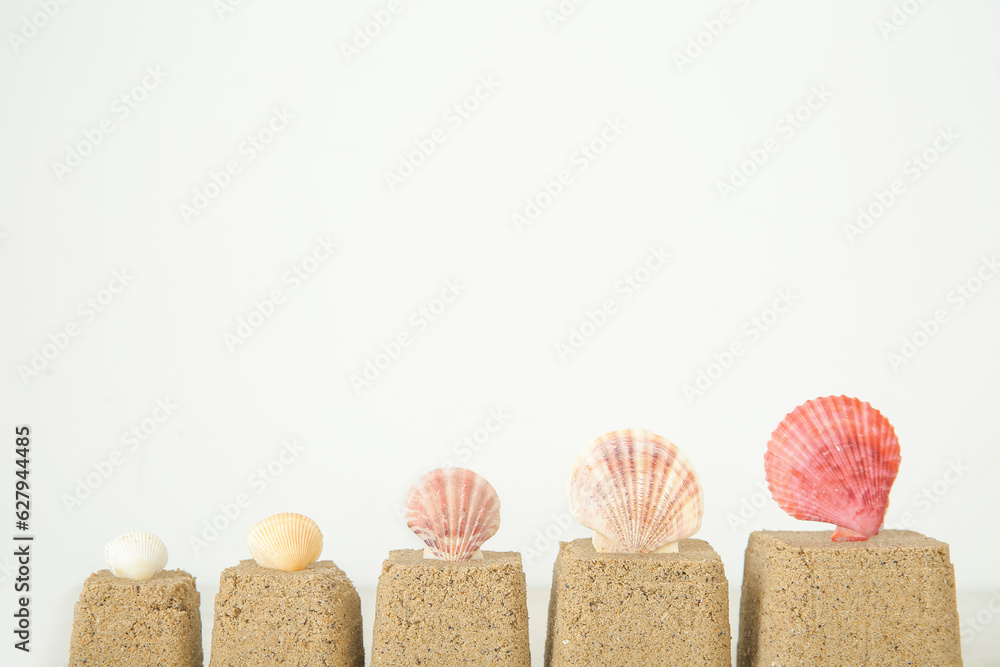 Castles made of sand with seashells on white background