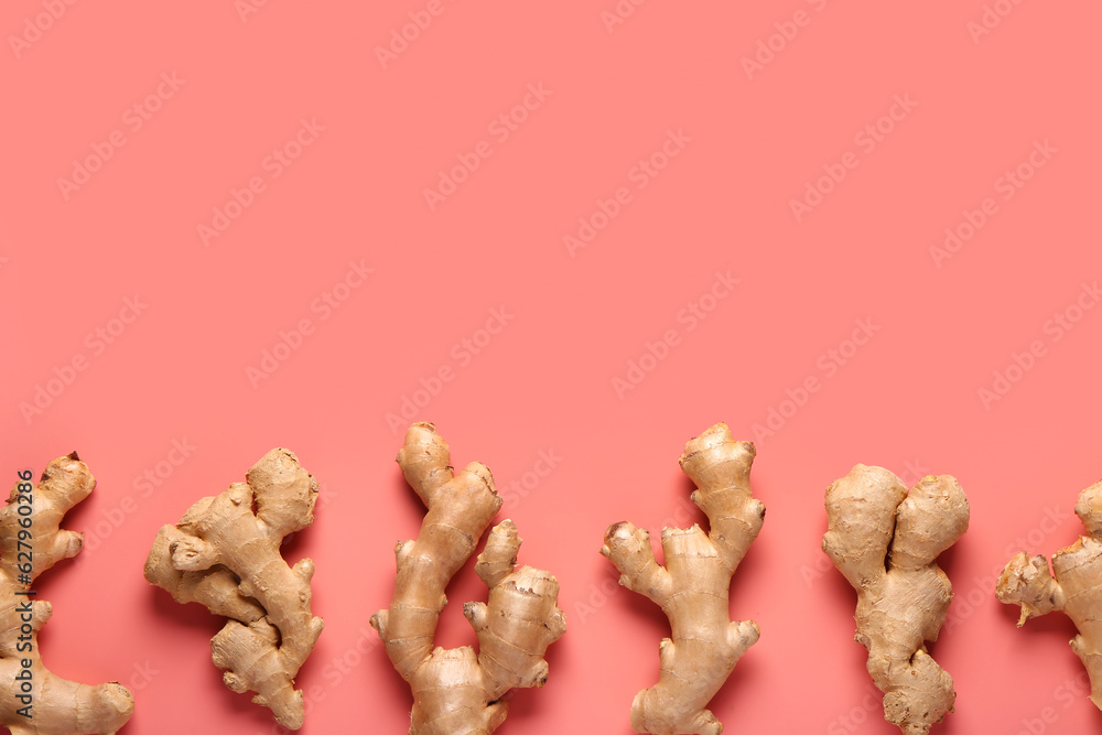 Fresh ginger roots on red background