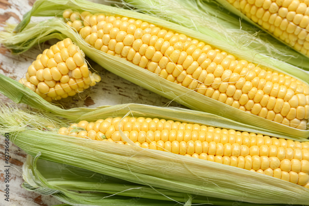 Fresh corn cobs on weathered wooden table, closeup