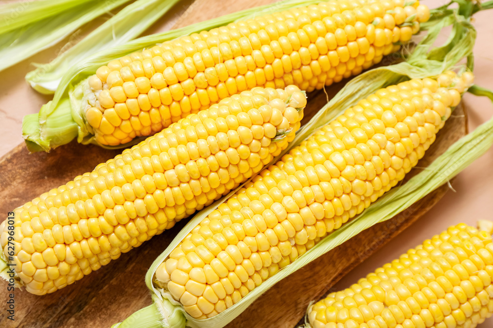 Wooden board with corn cobs, closeup