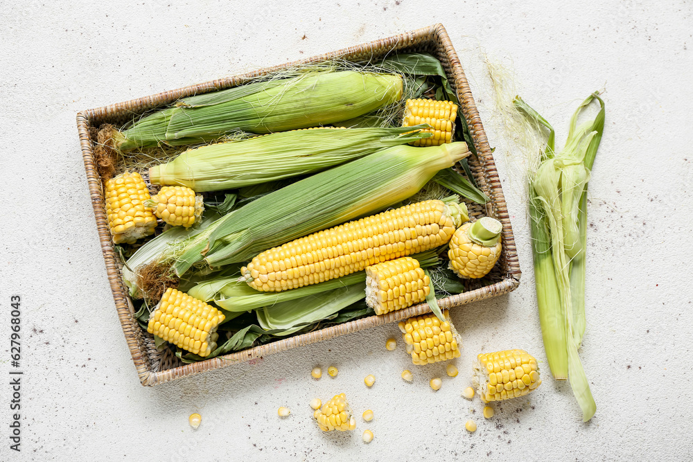 Wicker basket with fresh corn cobs on white table