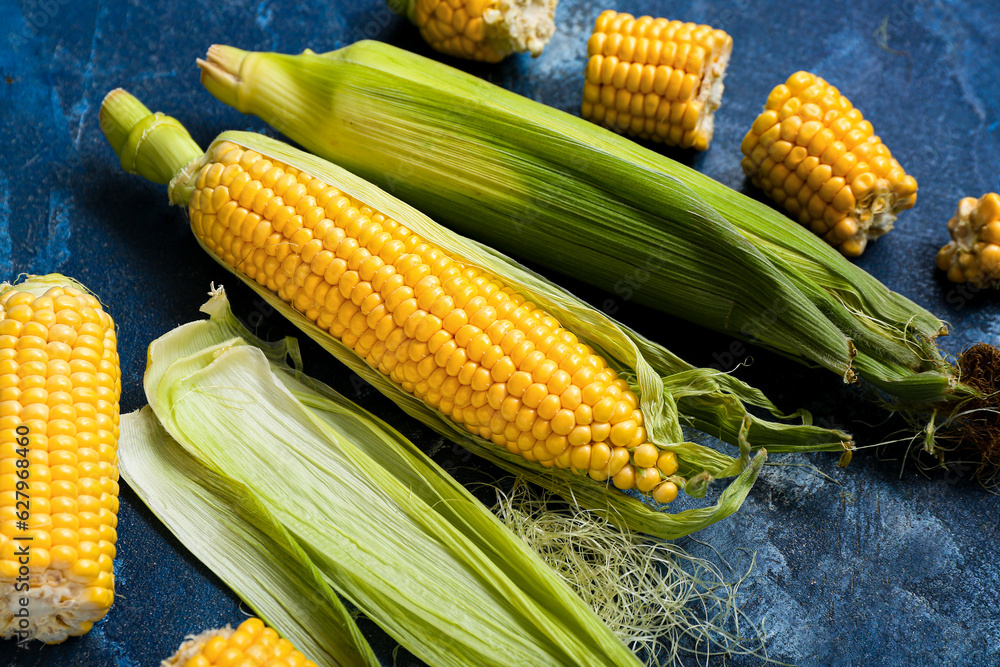 Fresh corn cobs on blue table