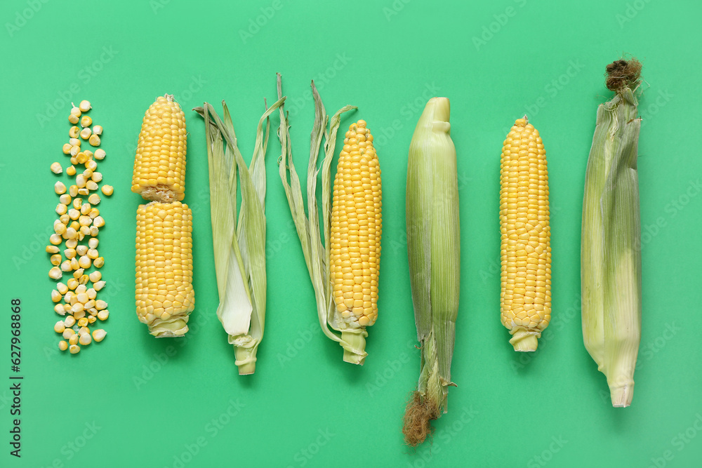 Fresh corn cobs and kernels on green background