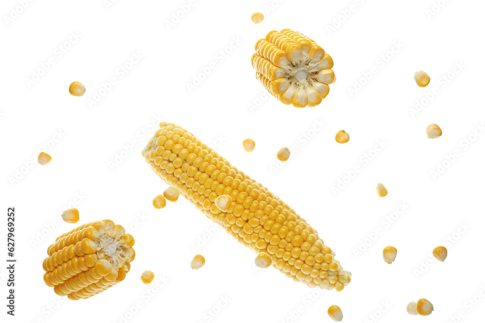 Flying corn cobs and kernels on white background