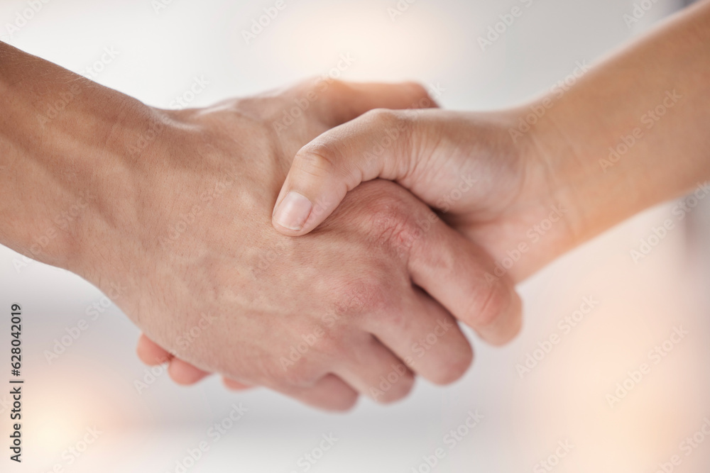 Closeup, shaking hands and people meeting for introduction, agreement and support of deal, partnersh