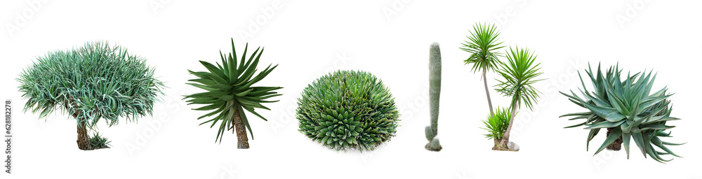 Set of green tropical plants on white background