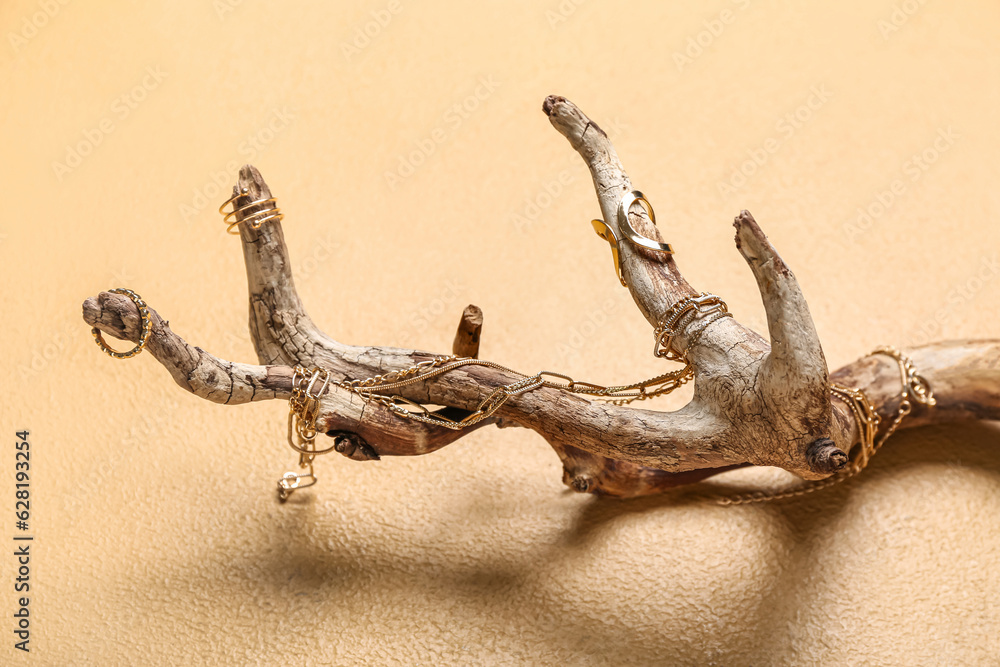 Tree branches with golden jewelry on beige background