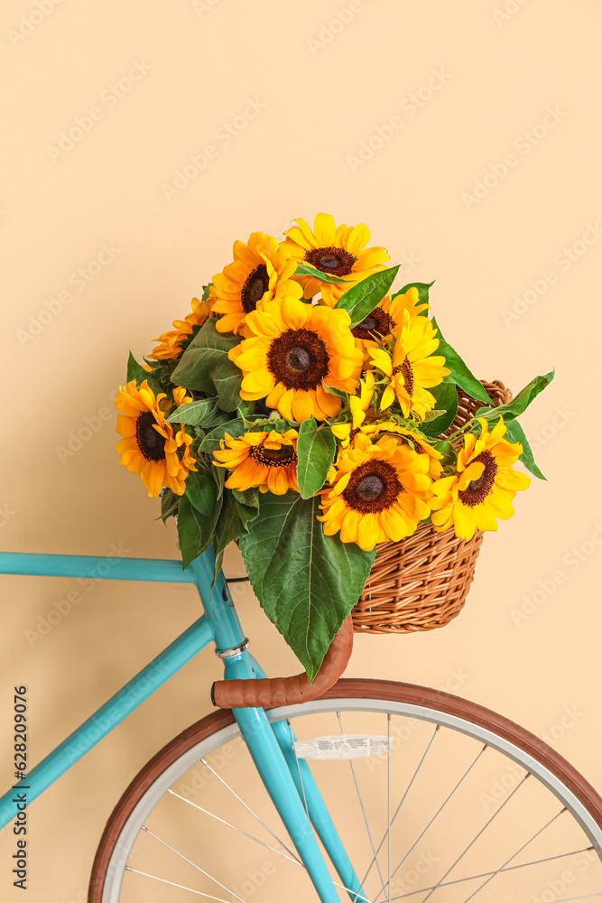 Bicycle with bouquet of beautiful sunflowers in wicker basket near beige wall