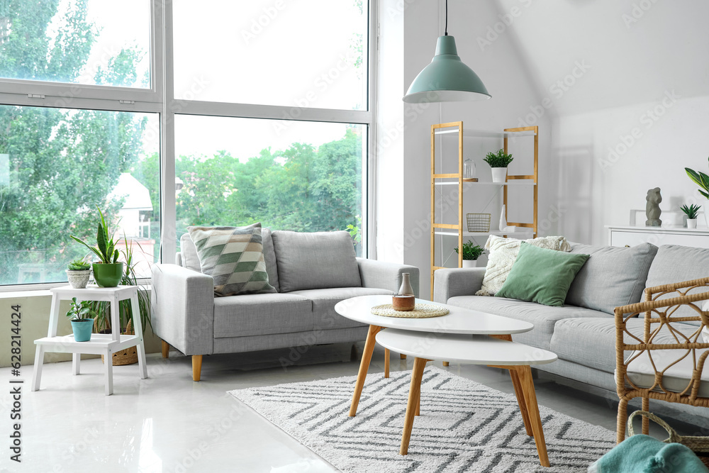 Interior of light living room with plants, sofas and coffee tables