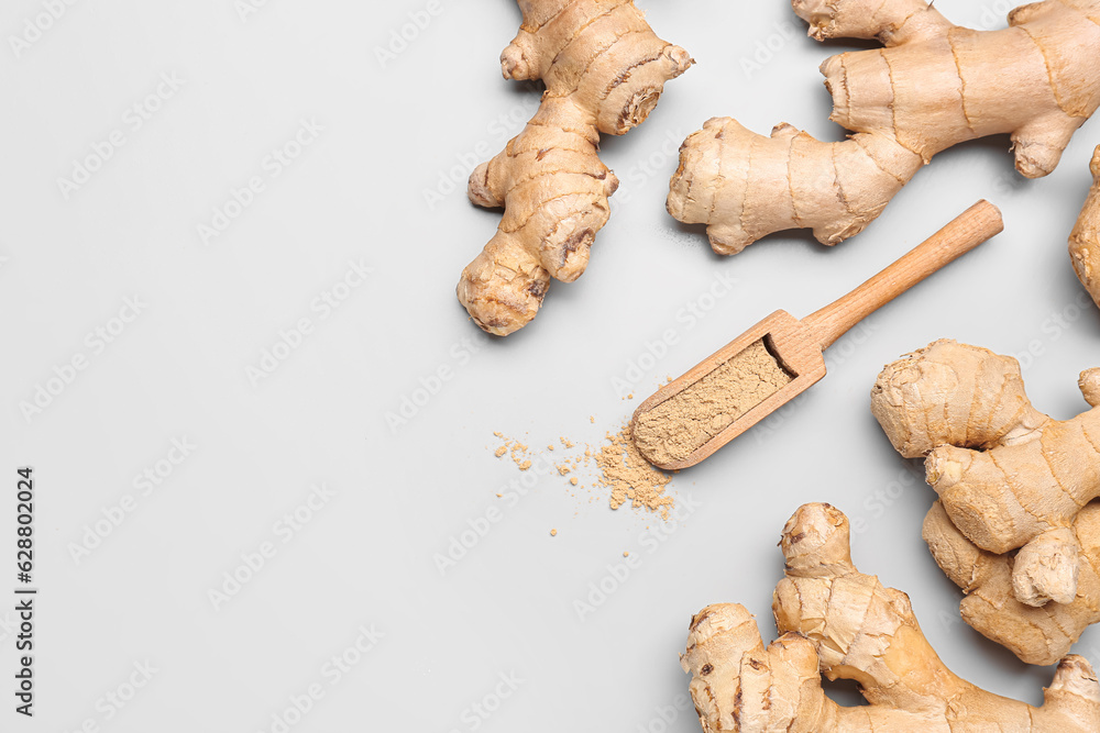 Fresh ginger roots and wooden scoop with dried powder on grey background