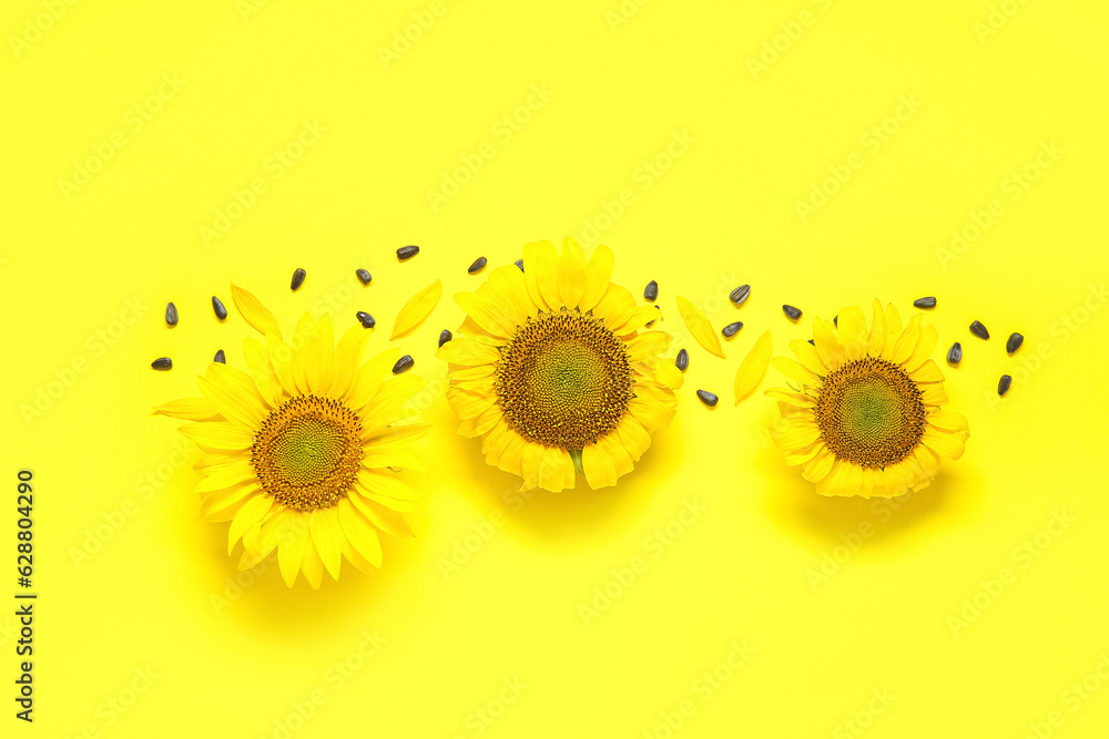 Beautiful sunflowers and seeds on yellow background