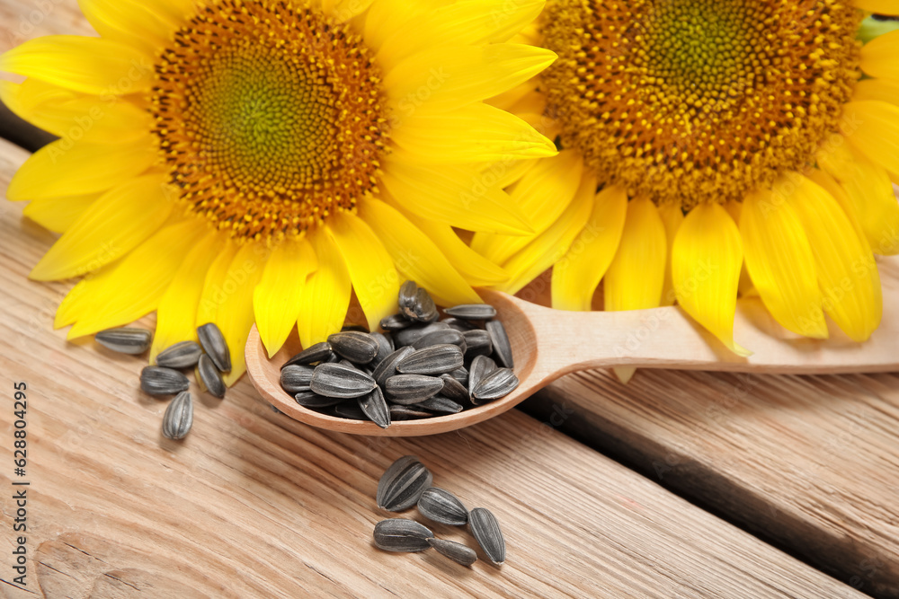 Beautiful sunflowers and spoon with seeds on wooden background