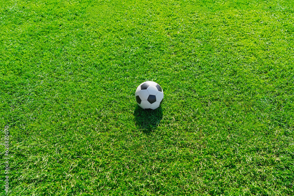 green grass texture with a soccer ball - well-groomed turf in the garden