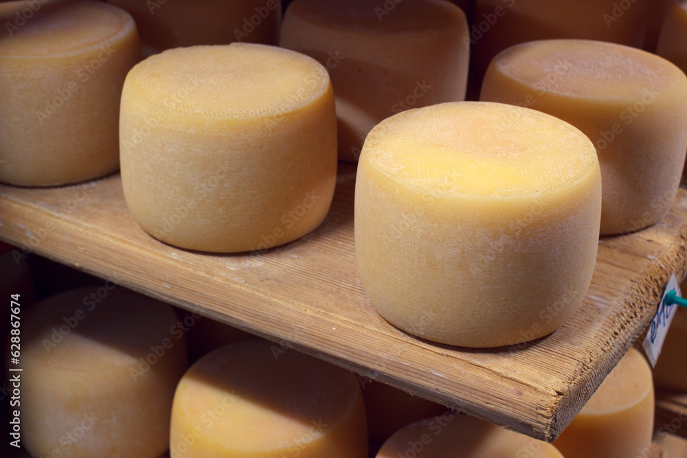 Cow cheese aging in cellar of milk production factory