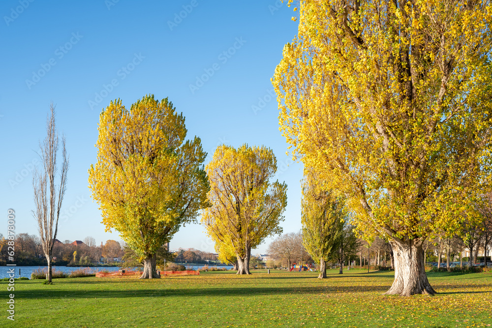 Heidelberg Neckarwiese meadow in autumn season, Baden-Württemberg, Germany