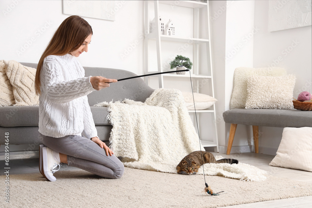 Woman playing with striped Scottish fold cat at home