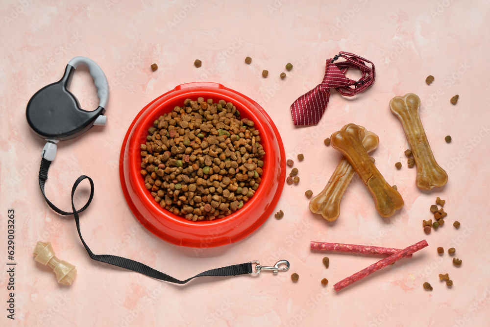 Composition with dry dog food, treats and accessories on color background