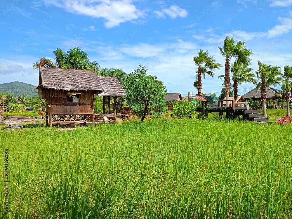 rice farm and house resort 