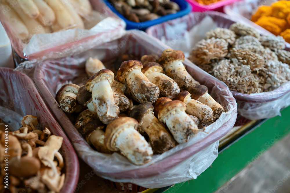 Mushrooms matsutake in the farmers market in Yunnan, China.