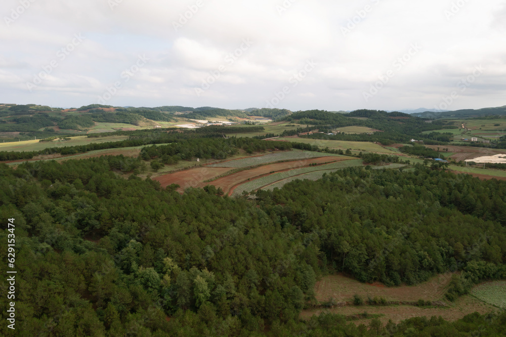 Grass and trees in Xundian, Yunnan, China.