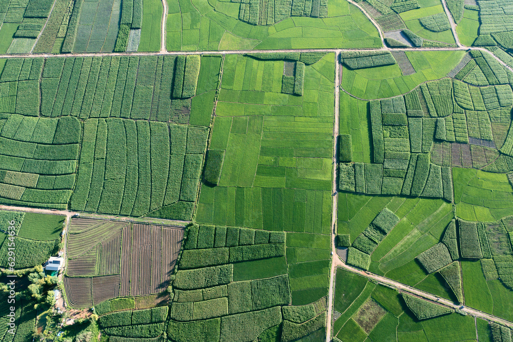 Farmland and fields in Yunnan, China.