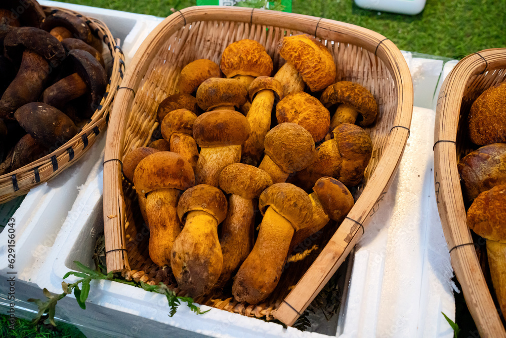 Mushrooms porcini in the farmers market in Yunnan, China.