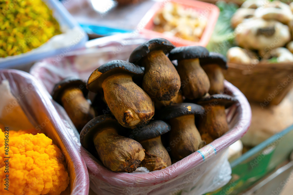 Mushrooms phlebopus portentosus in the farmers market in Yunnan, China.