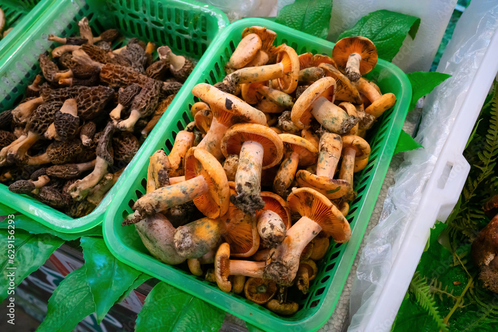 Mushrooms deliciosus in the farmers market in Yunnan, China.