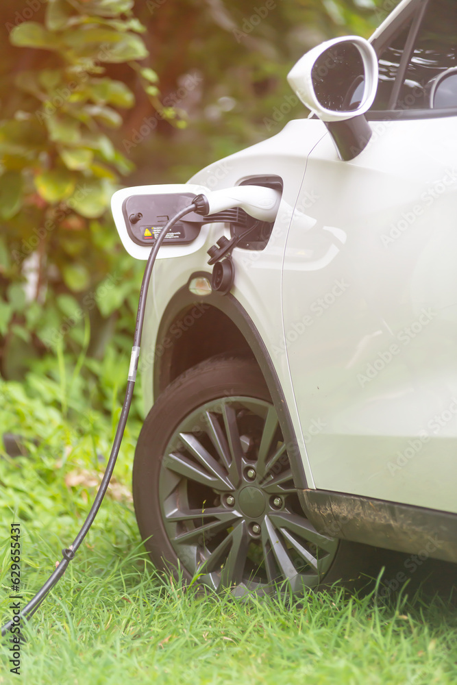 An electric car or ev is charging at a station. Man using white cable and plug on nature background.