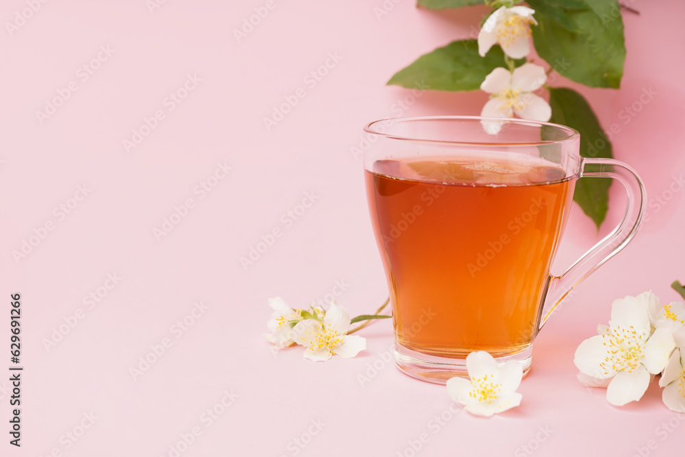 Glass cup of tea and beautiful jasmine flowers on pink background