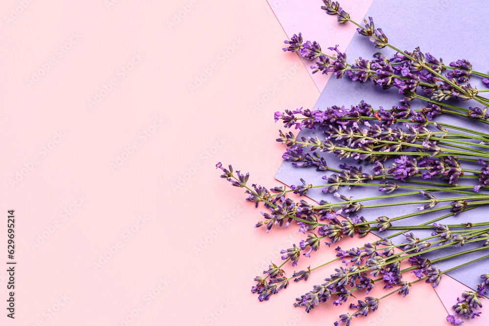 Branches of beautiful lavender flowers on colorful background, closeup