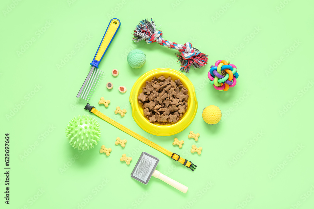 Composition with different pet care accessories and dry food on green background