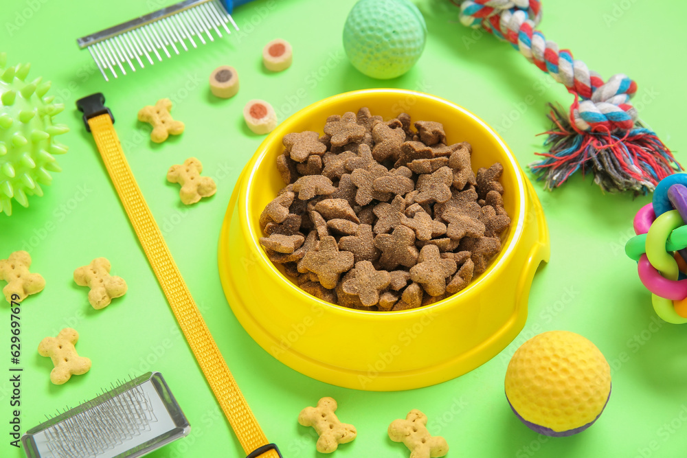 Composition with different pet care accessories and dry food on green background