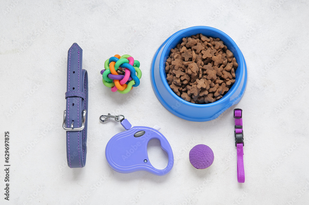 Set of pet care accessories with dry food on light background