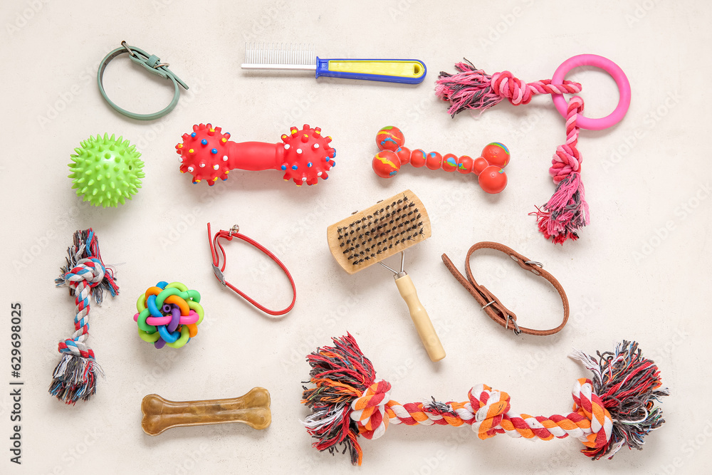 Set of different pet care accessories and toys on light background