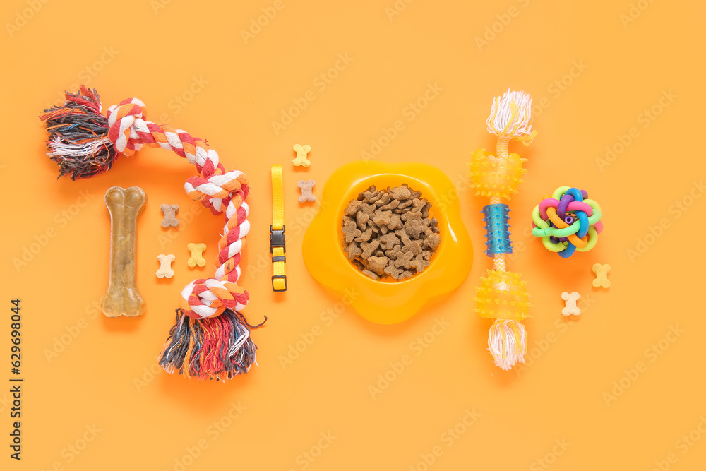 Composition with different pet care accessories and dry food on color background