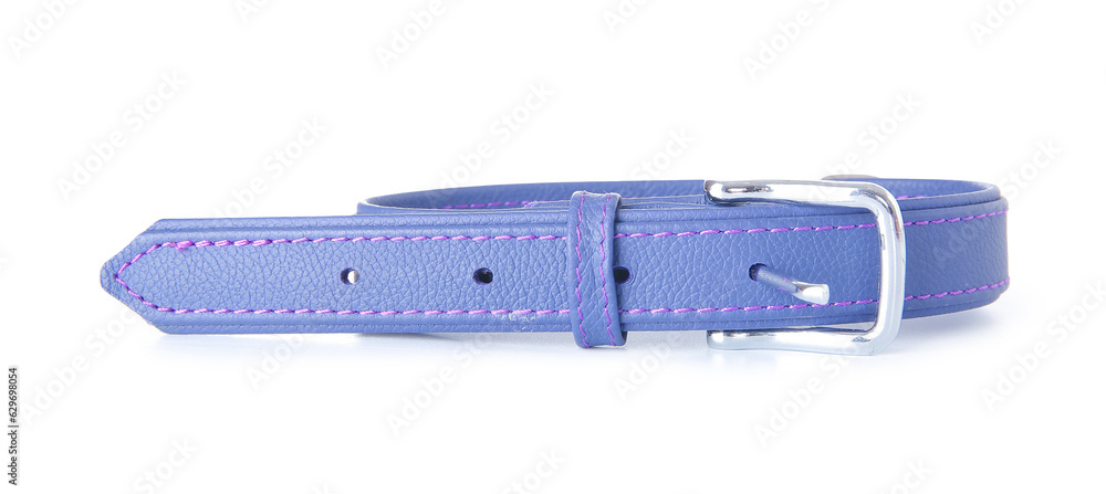 Pet collar on white background