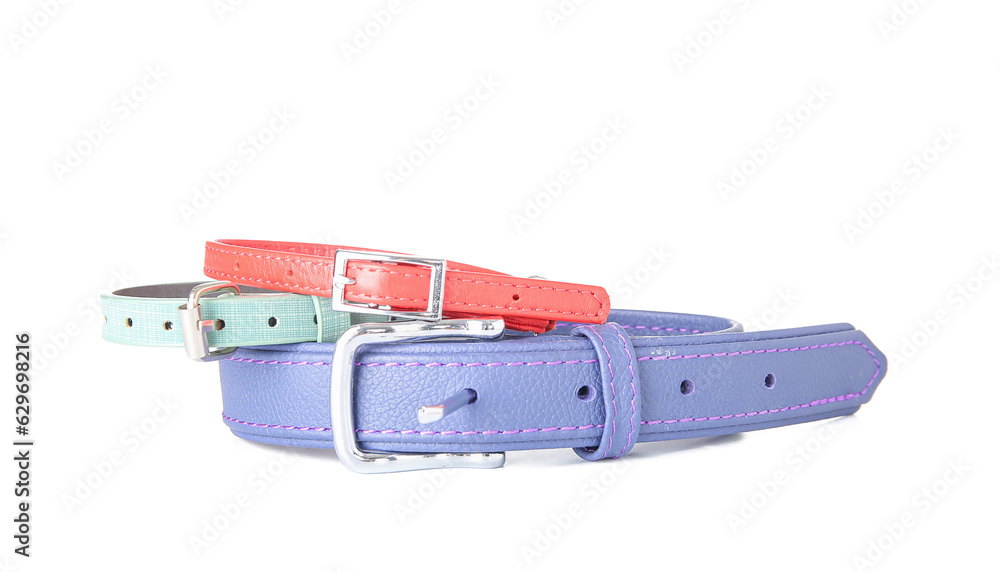 Set of pet collars on white background