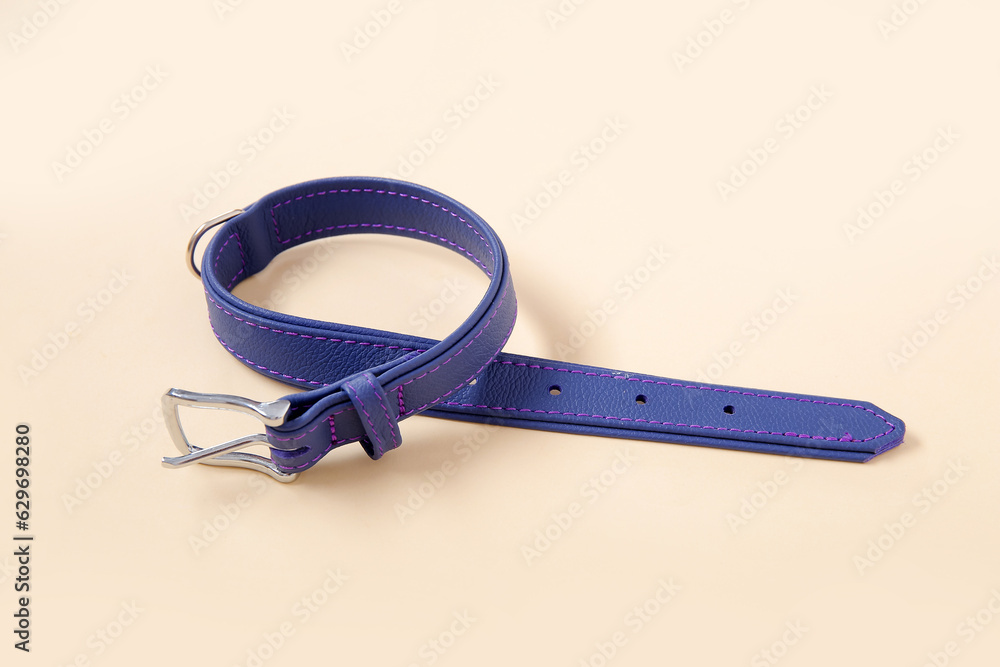 Pet collar on color background