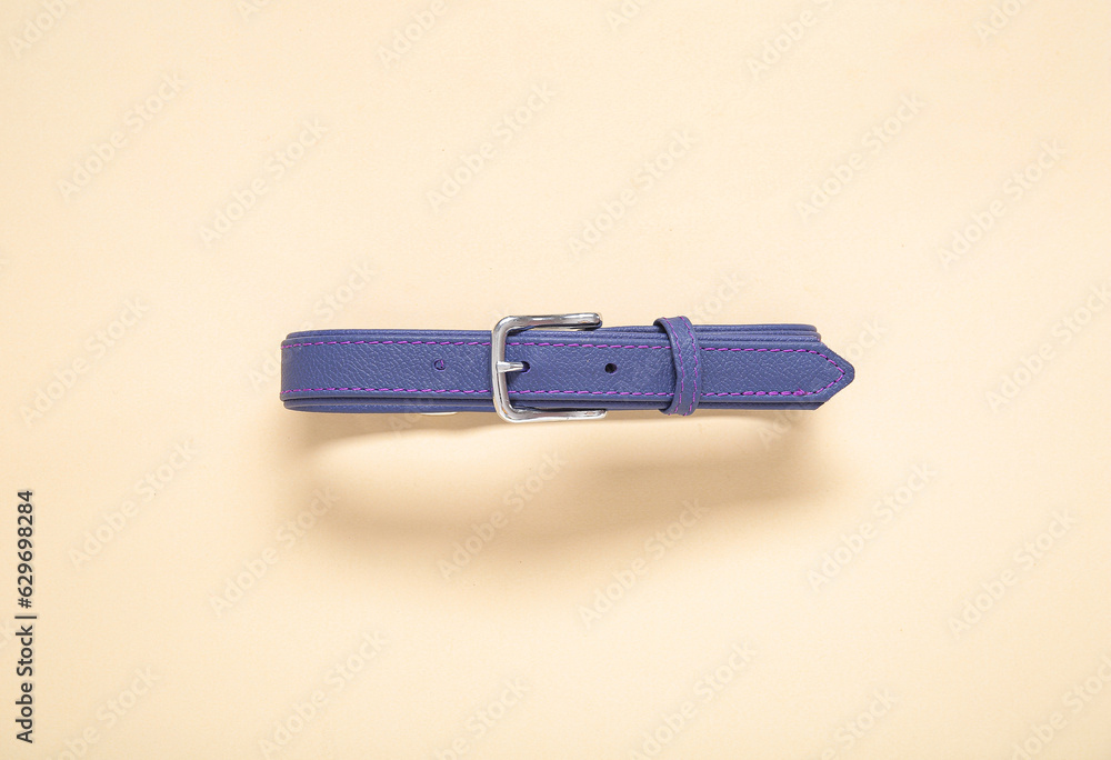 Pet collar on color background