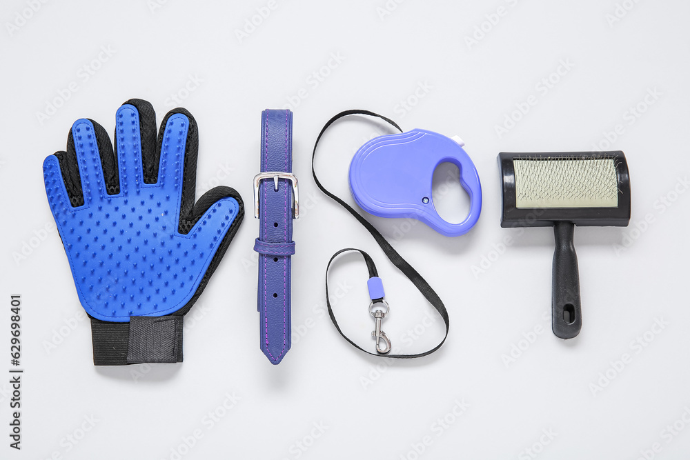 Set of pet care accessories with collar on light background