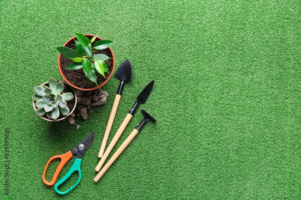 Set of gardening tools and plants on color background