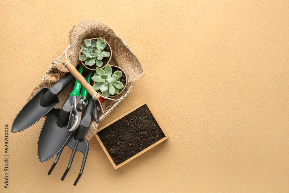 Basket with gardening tools, houseplants and soil on color background